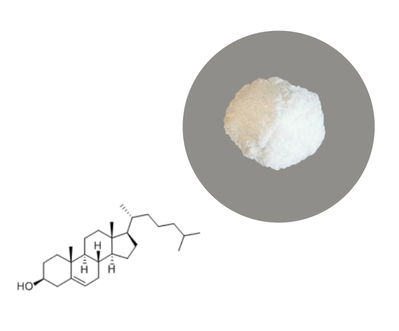 Cholesterol    cholesterol supplier 