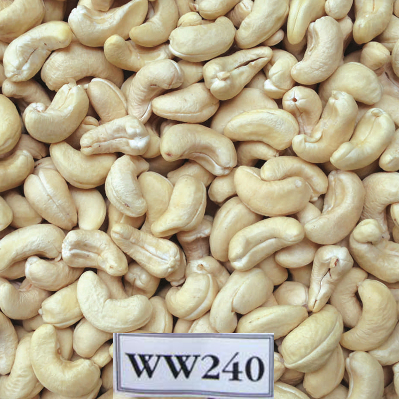 W240 Cashew Nut Vietnam White Whole Cashews