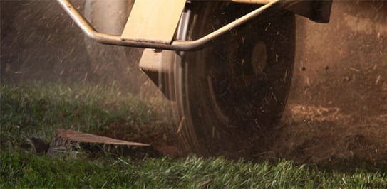 Stump Grinding