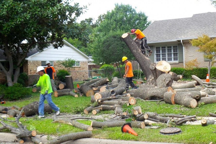 FISHERS TREE SERVICE