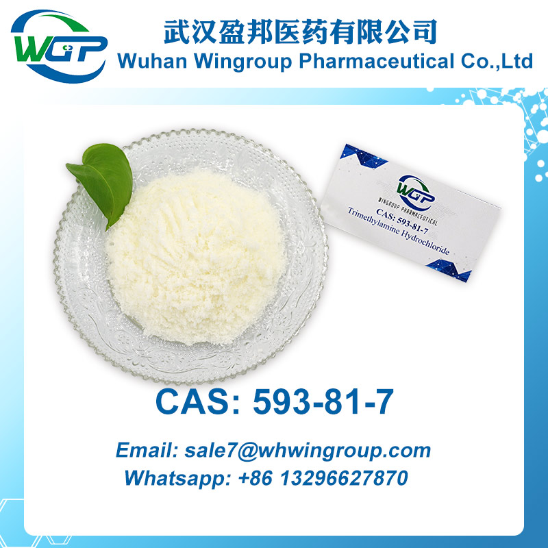 Trimethylamine Hydrochloride CAS 593-81-7