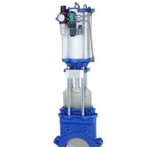 Pneumatic knife gate valve manufacturer in India