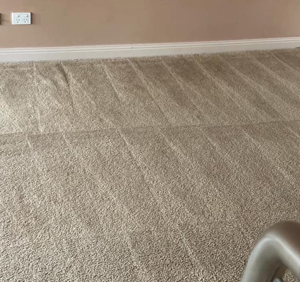 Carpet Steam Cleaning Mornington