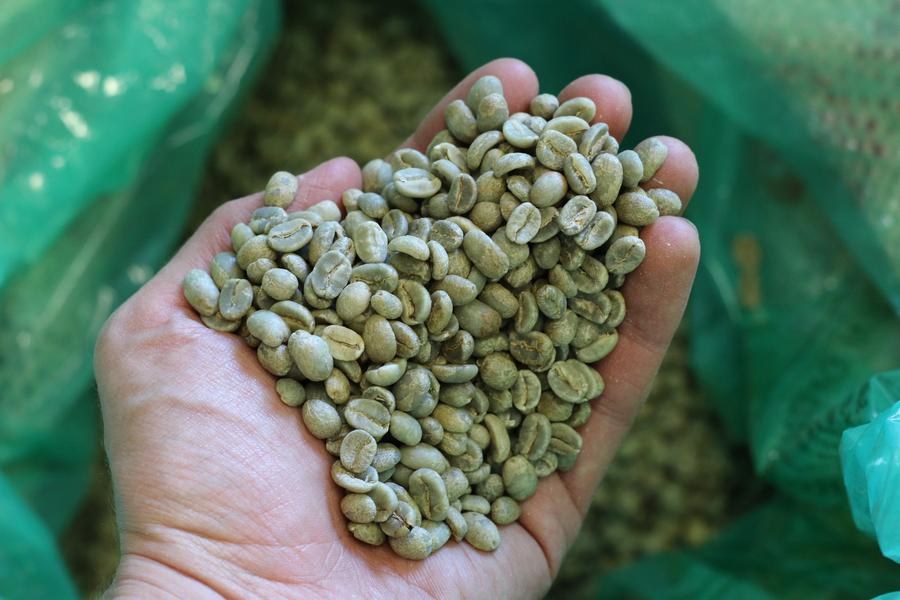 La Serrania (Decaf) - Colombia