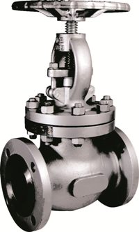 Super Duplex Globe Valve Manufacturer in India