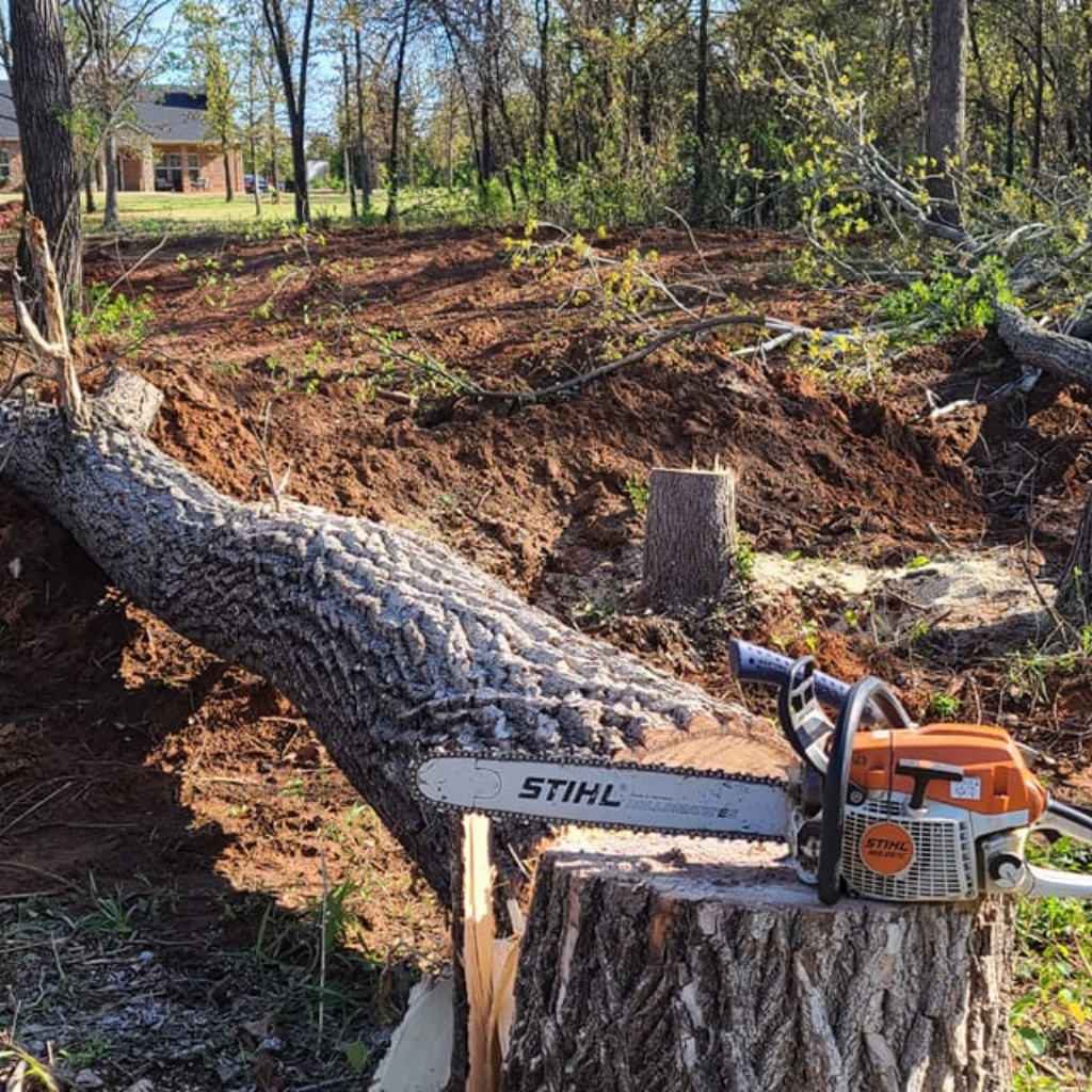 Tree Service Oklahoma City