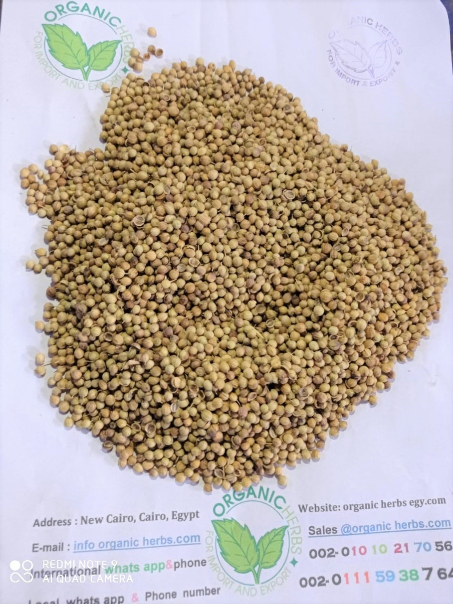 Coriander seed