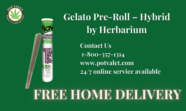 Gelato Pre-Roll – Hybrid – by Herbarium