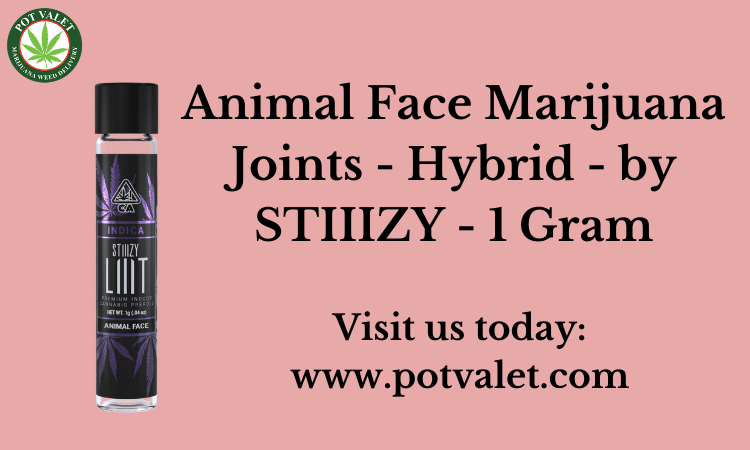 Animal Face Marijuana Joints - Hybrid - by STIIIZY - 1 Gram