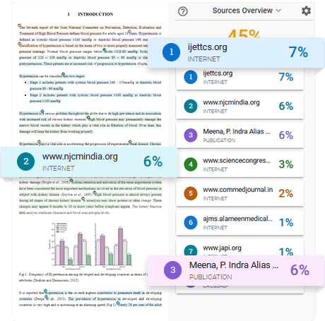 Plagiarism Check