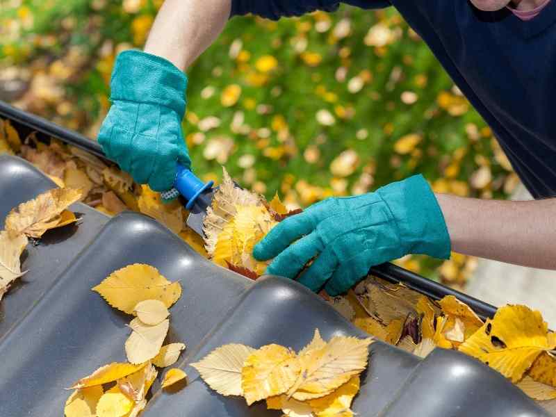 Gutter Cleaning