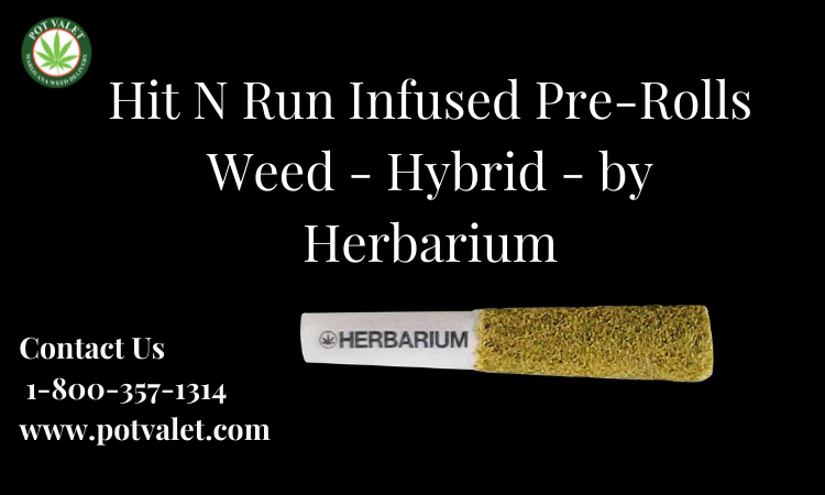 Hit N Run Infused pre-rolls weed - Hybrid - by Herbarium