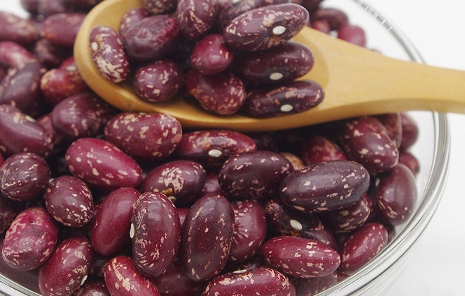 Purple Speckled Kidney Beans