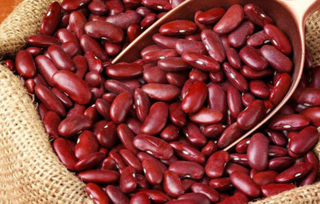 Red Kidney Bean