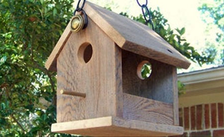 Bird Feeder