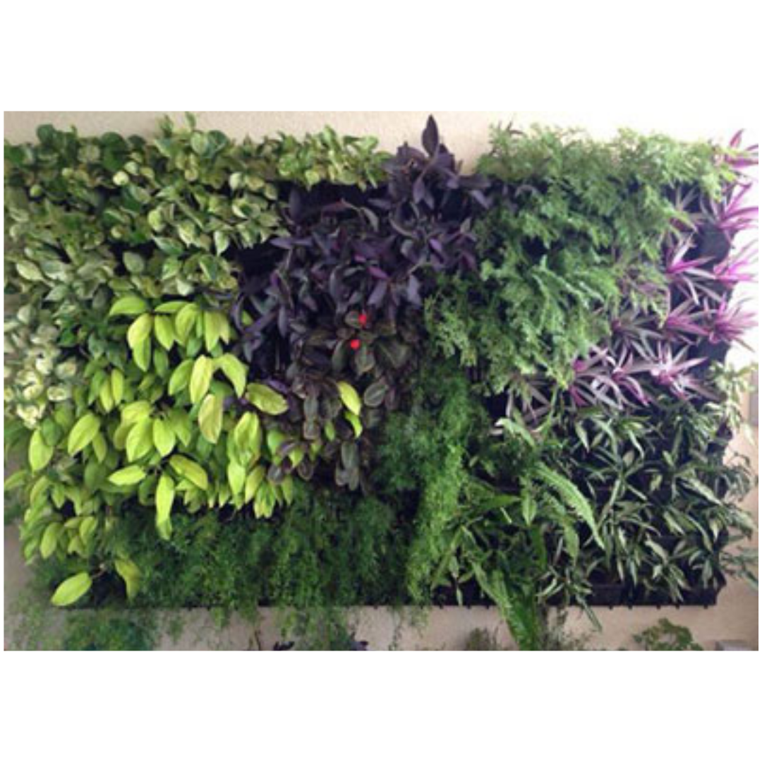 Vertical Gardens Services in Mumbai