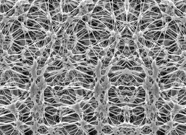 EXPANDED PTFE MEMBRANEWhat is an Expanded PTFE Membrane?