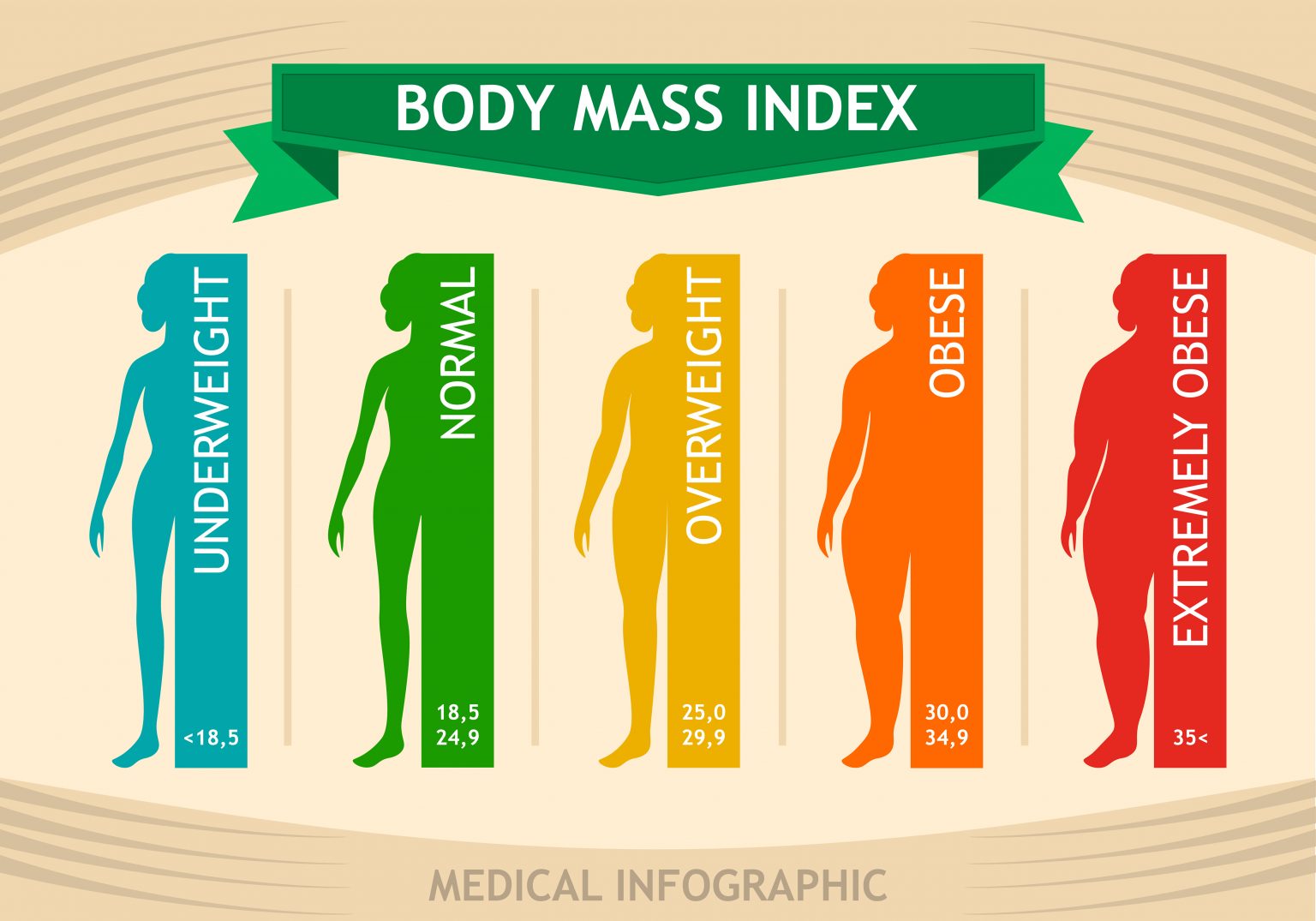 BMI Calculator for Women's