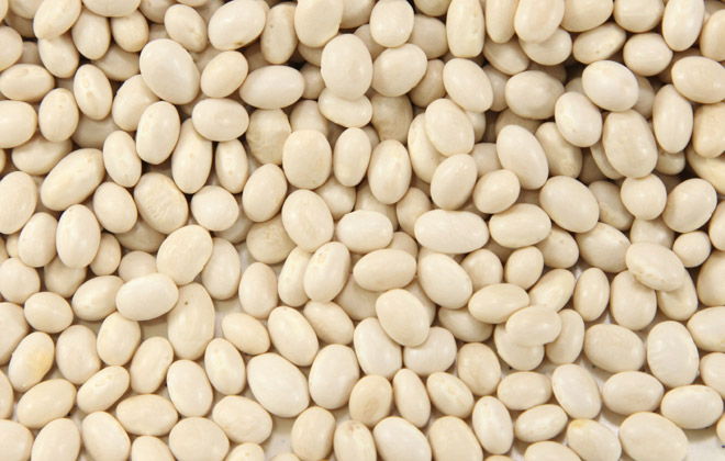 Pearl Bean/White Kidney Bean/White Beans