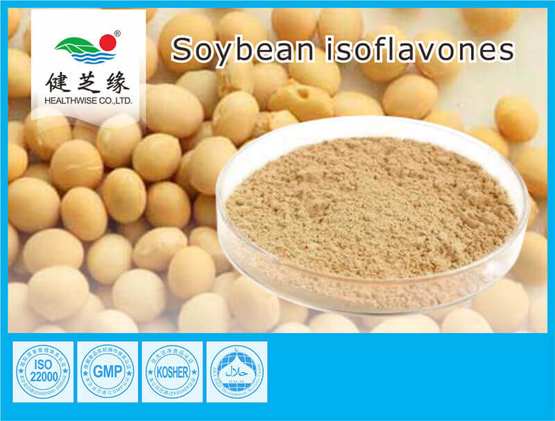 Soy Isoflavones Powder