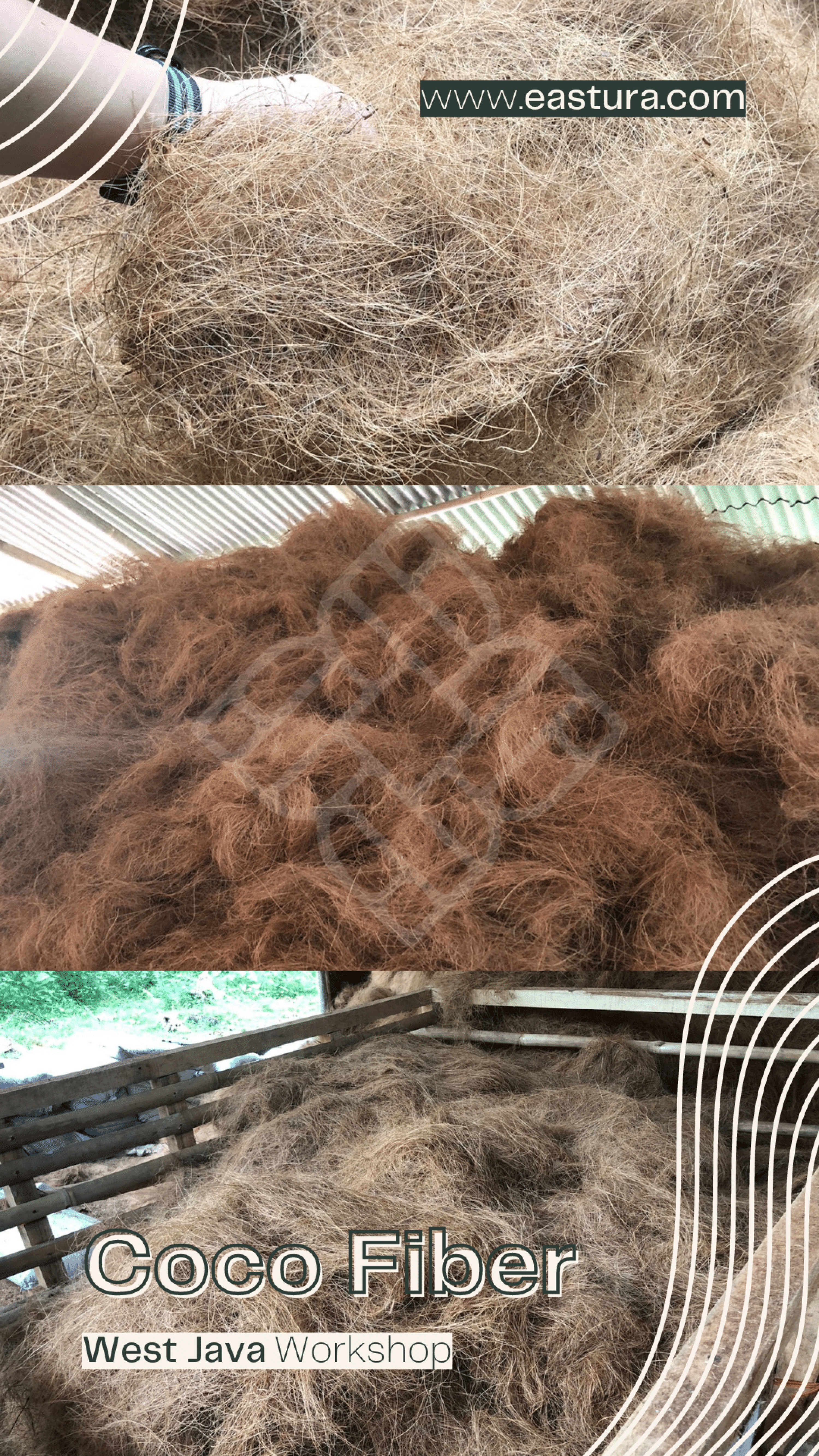 Indonesian Coco Fiber / Coir Fiber By EASTURA