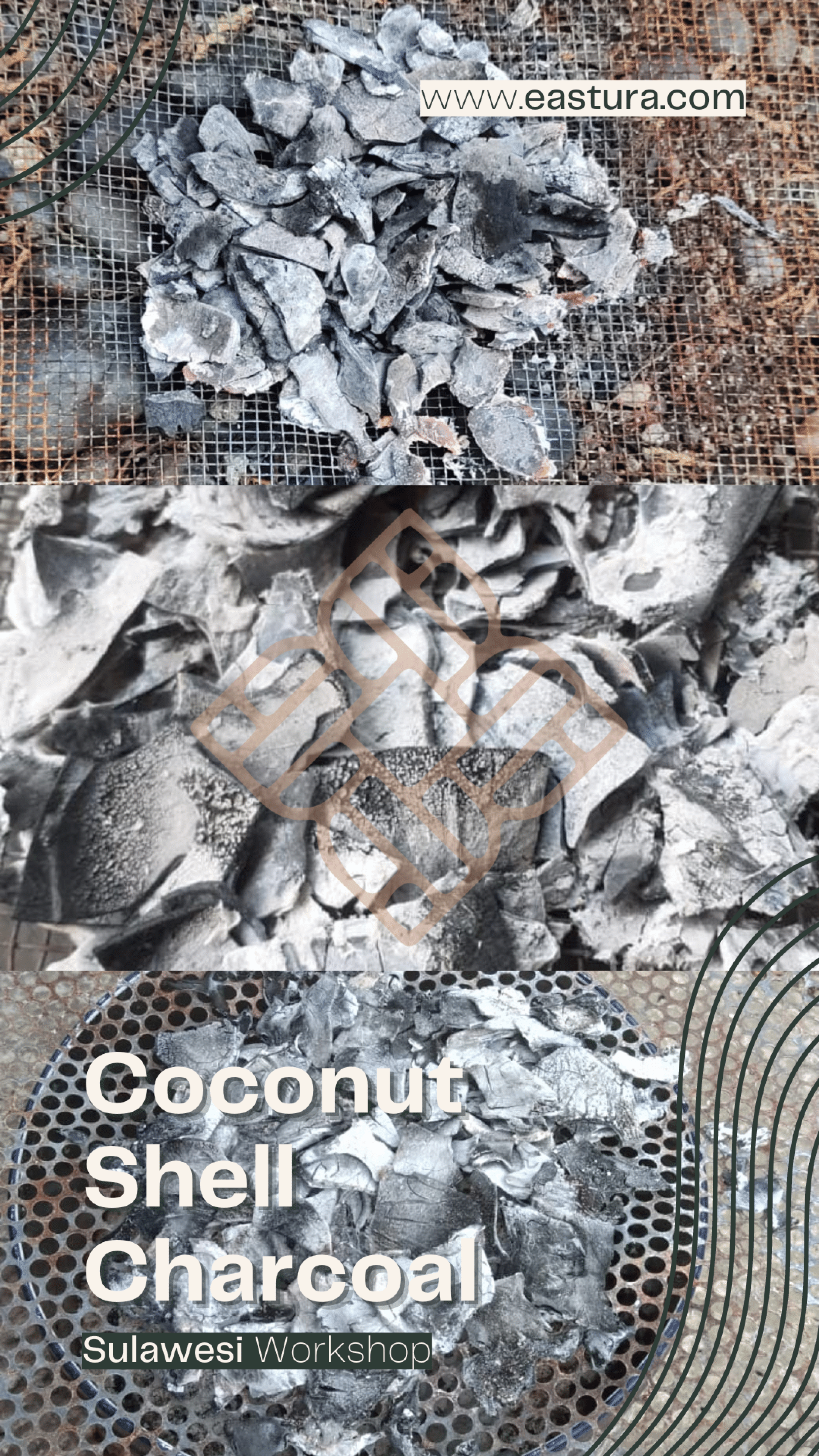 Indonesian Coconut Shell Charcoal By EASTURA